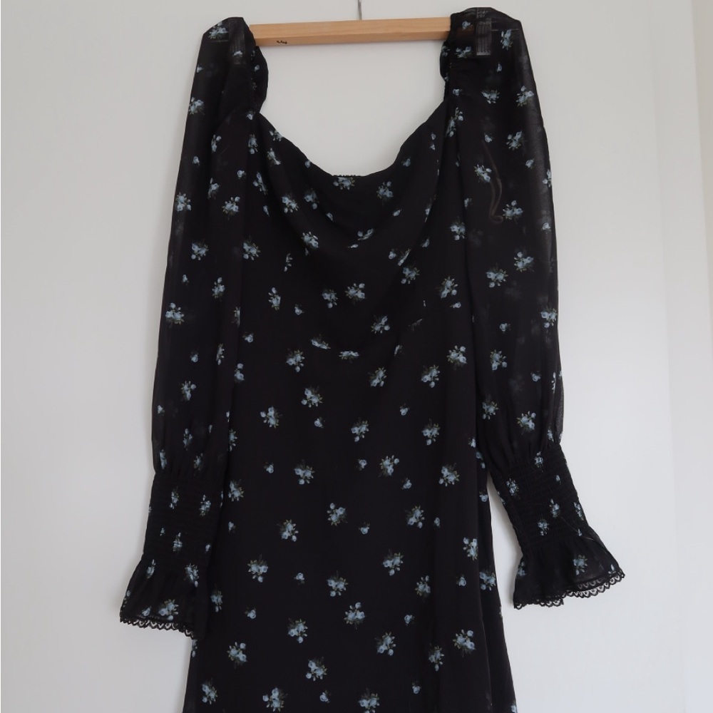 Aritzia Floral Black Dress with Long Sheer Sleeves